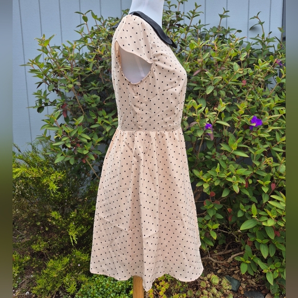 Polka Dot Peter Pan Collar Dress. By Allegra K Size XS - Picture 2 of 6